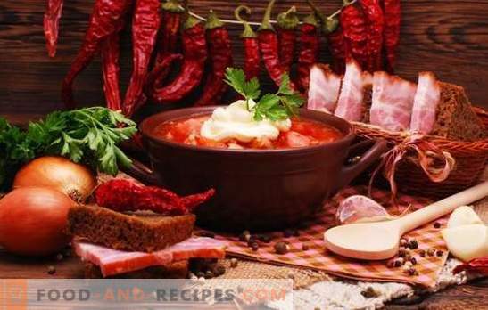 Vilka kryddor behövs för borscht, och som inte kan sättas in i det?