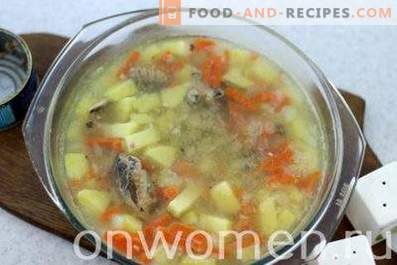 Konserverad fisk soppa
