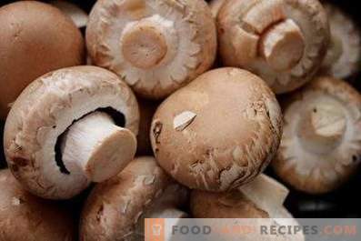 Hur man lagrar färsk mushroom