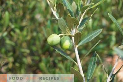 Hur man gör olivolja