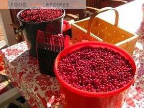 Hur man lagrar lingonberry