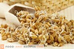 Kuidas idaneda nisu