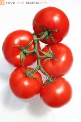 Tomater: fördelar och skador på kroppen
