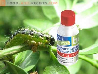Lepidocid är ett effektivt läkemedel mot löda skadedjur