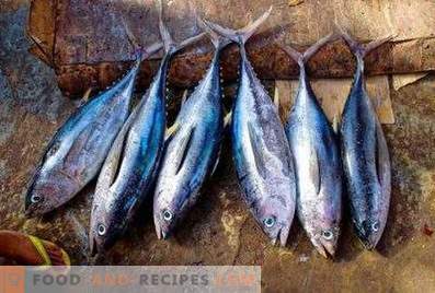 Tonfisk: fördelarna och skadorna