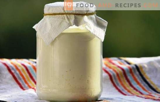 Slavisk sås: sur grädde från mjölk - recept hemma. Nyttiga fakta om gräddfil från mjölk, naturproduktrecept