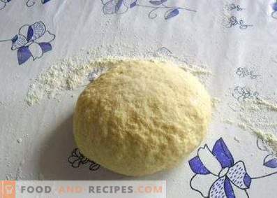 Degen för dumplings på kefir