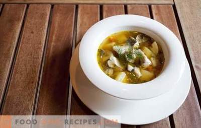 Klassiskt öra - ett recept på den första maträtten och fiskfisk. Recept klassisk soppa med potatis, vodka, kryddor