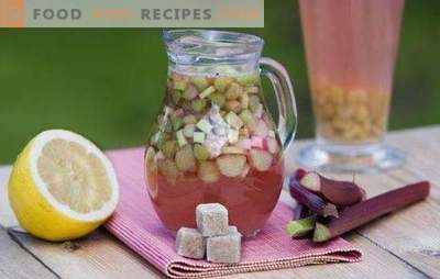 Rabarber kvass är en idealisk dryck för en varm dag. De bästa recepten för Rabarber kvass med kryddor, mint, citron, honung